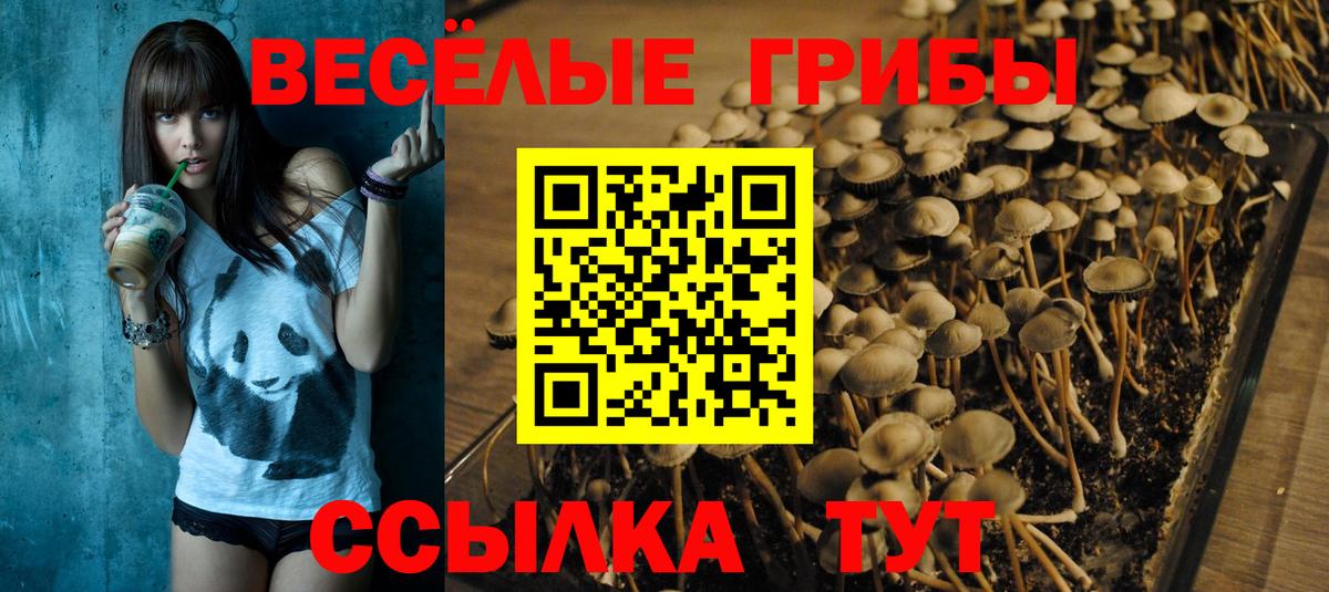 Муром  Каннабис  Меф   Вход с VPN  Cocaine  Конопля  ЭКСТАЗИ  ГАШ  МДМА 