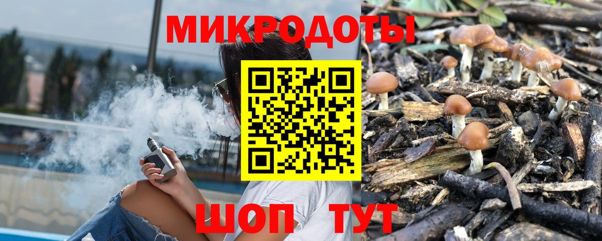 Псилоцибиновые грибы прущие грибы Муром
