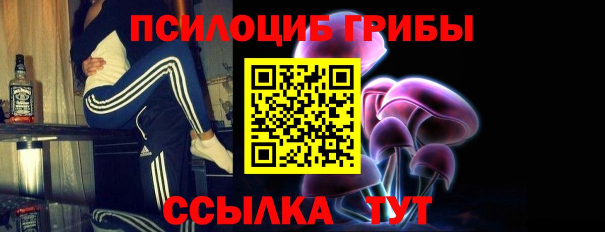 Галлюциногенные грибы Psilocybine cubensis  Вход с VPN  Муром 